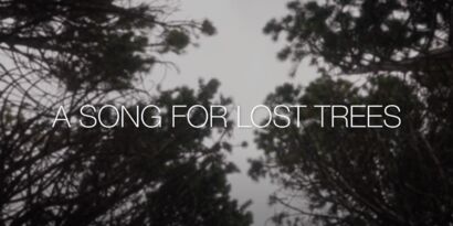 A Song for Lost Trees - a Land Art Artowrk by Konstantine Vlasis